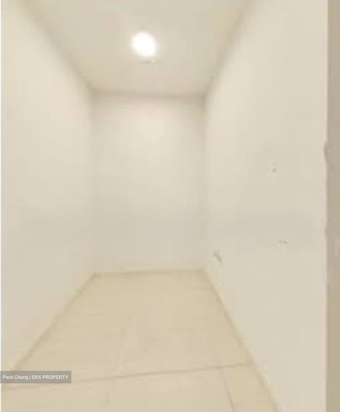 Sant Ritz (D13), Condominium #581209531